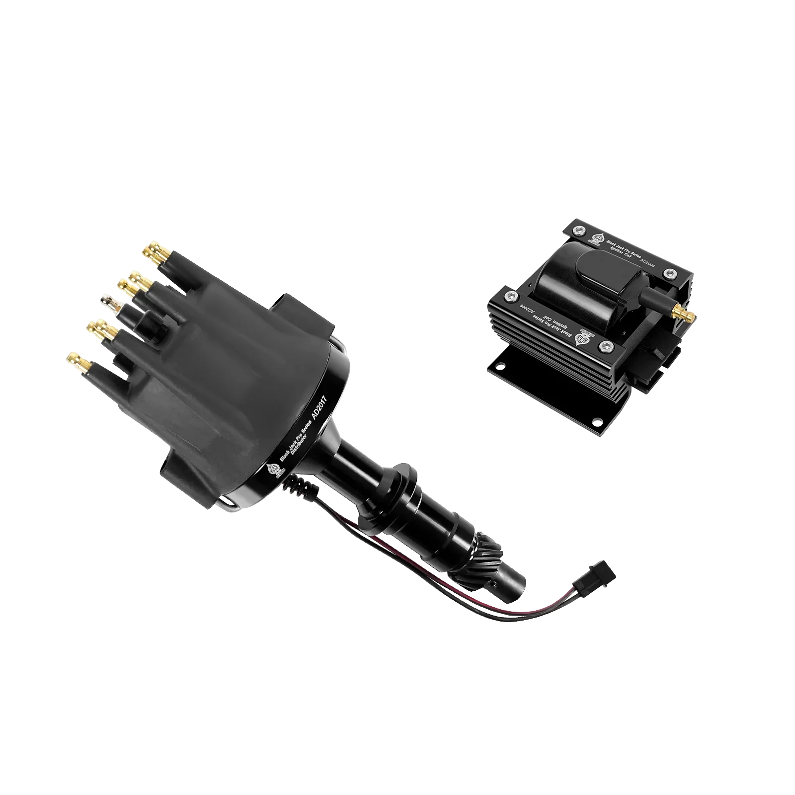 Black Jack Pro Series Magnetic Distributor