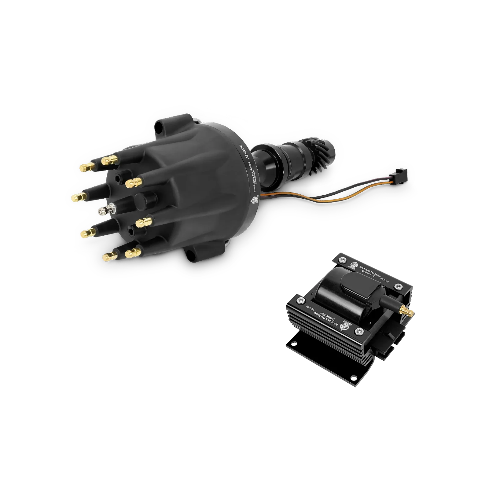 Black Jack Pro Series Magnetic Distributor