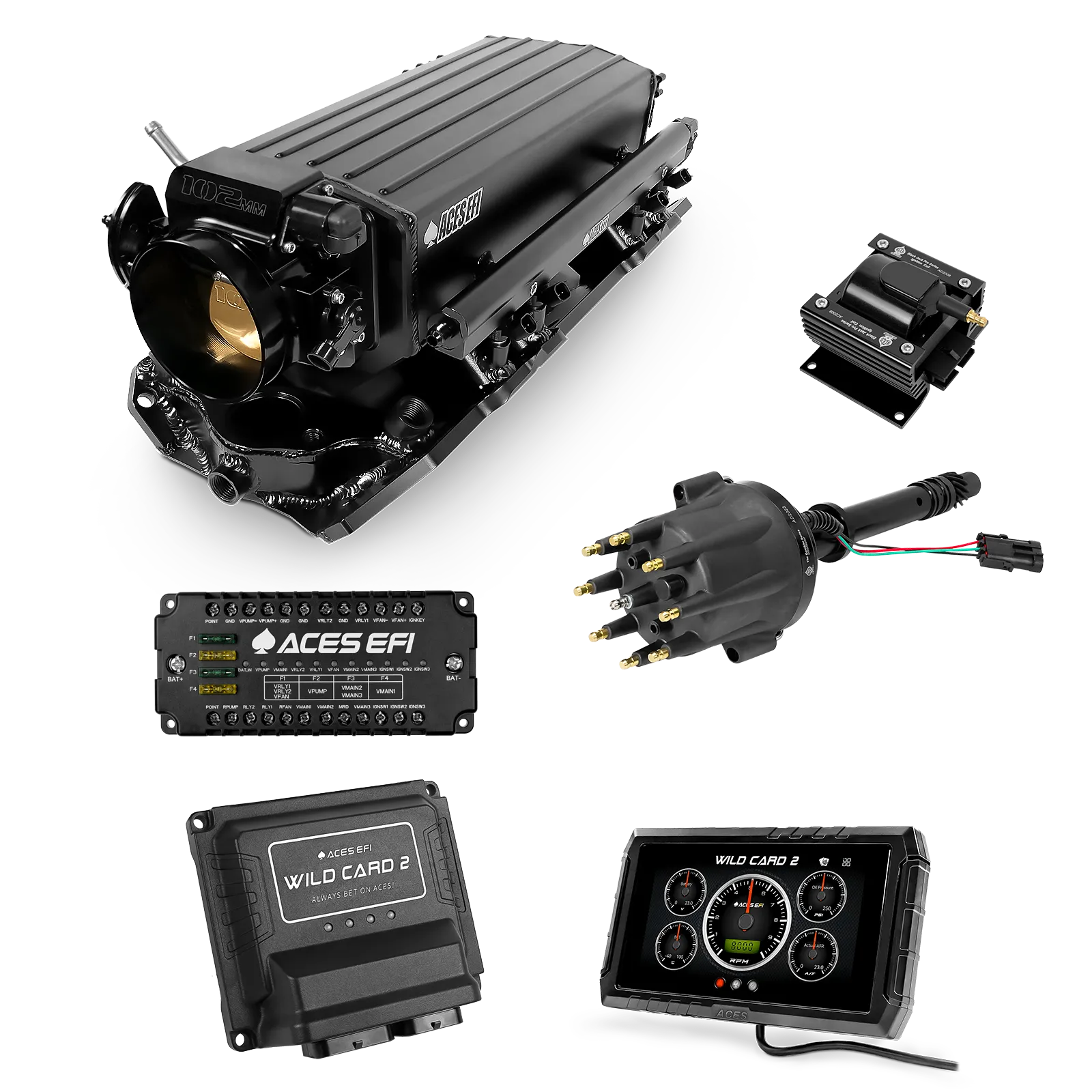 Wild Card 2 EFI - Top End Kits