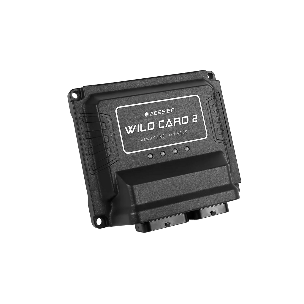 Wild Card 2 EFI - Top End Kits