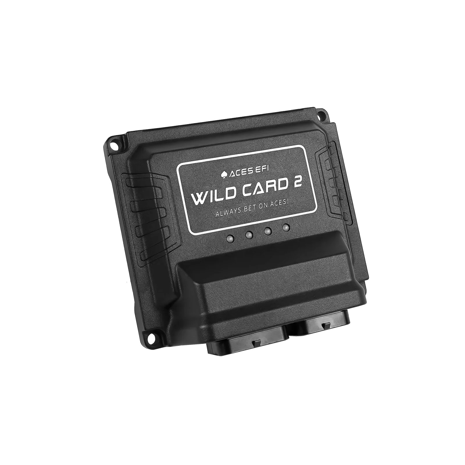Wild Card 2 EFI - Top End Kits
