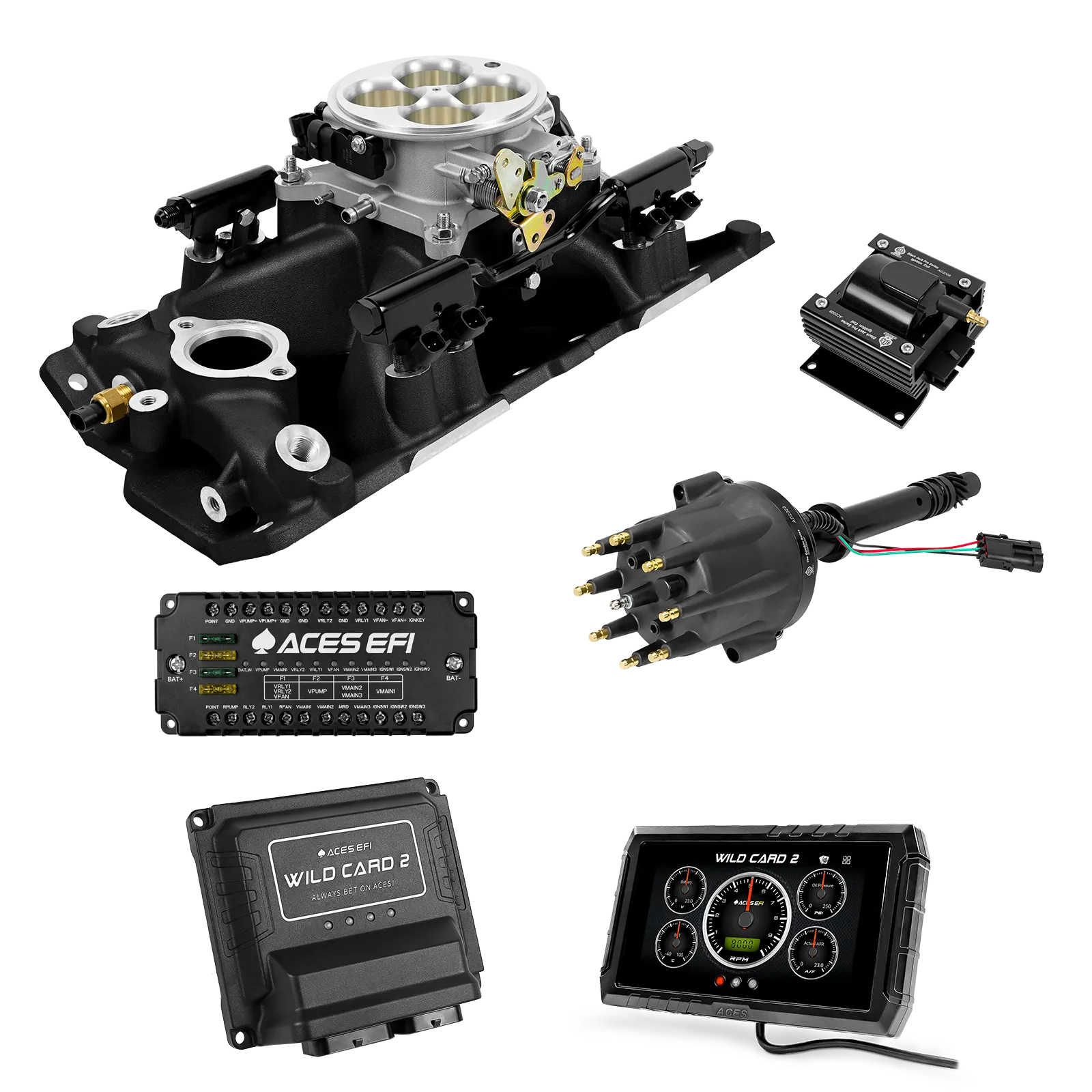 Wild Card 2 EFI - Top End Kits