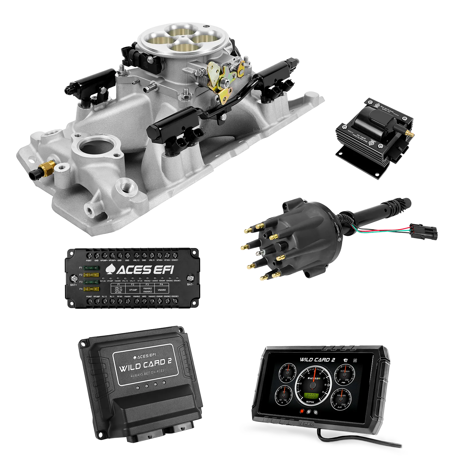 Wild Card 2 EFI - Top End Kits