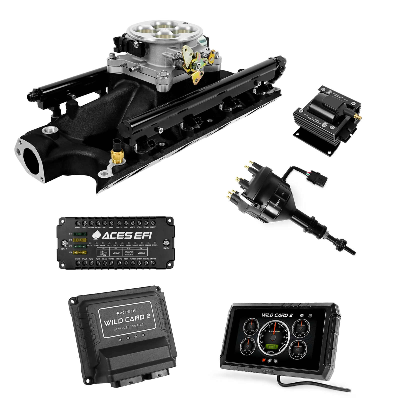 Wild Card 2 EFI - Top End Kits