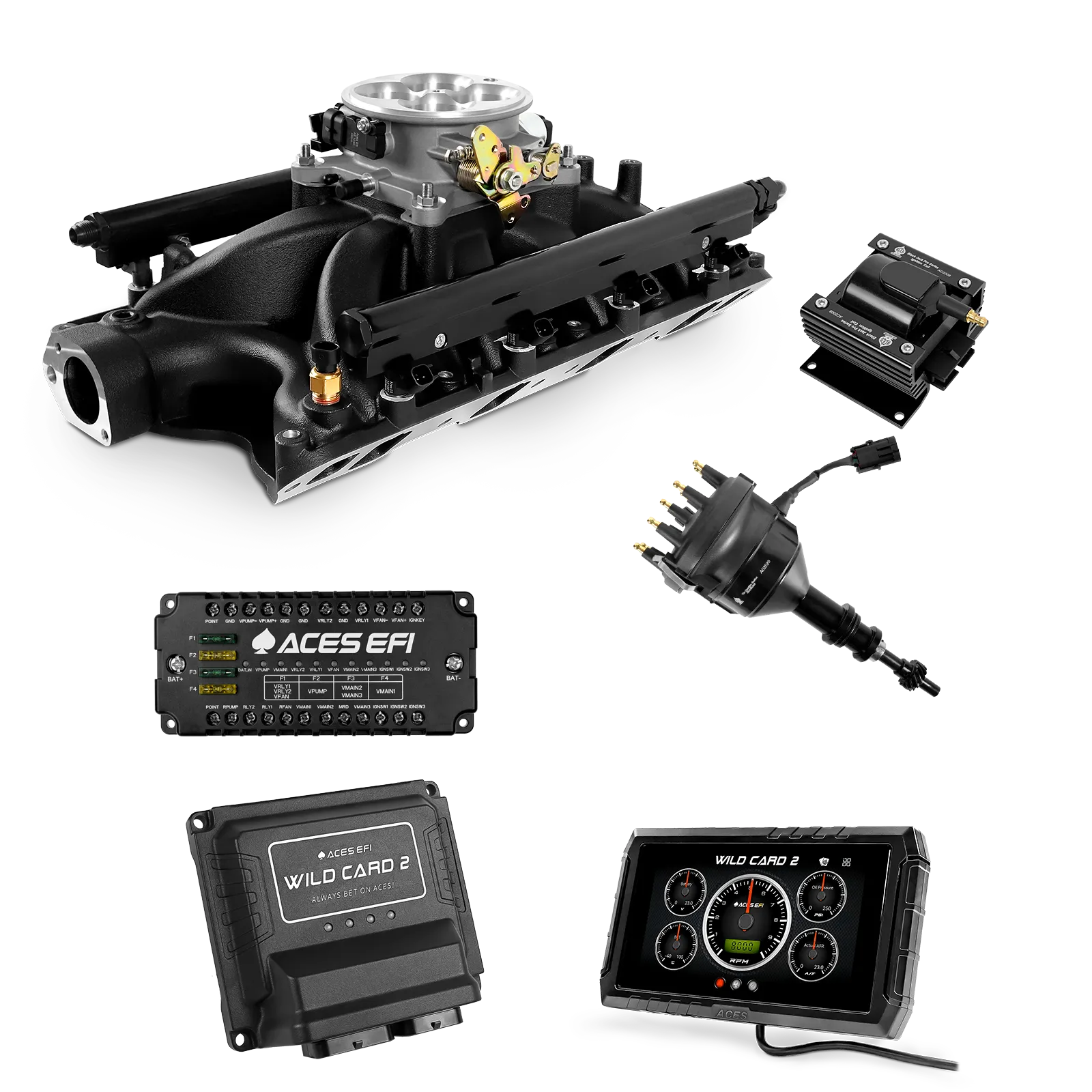 Wild Card 2 EFI - Top End Kits