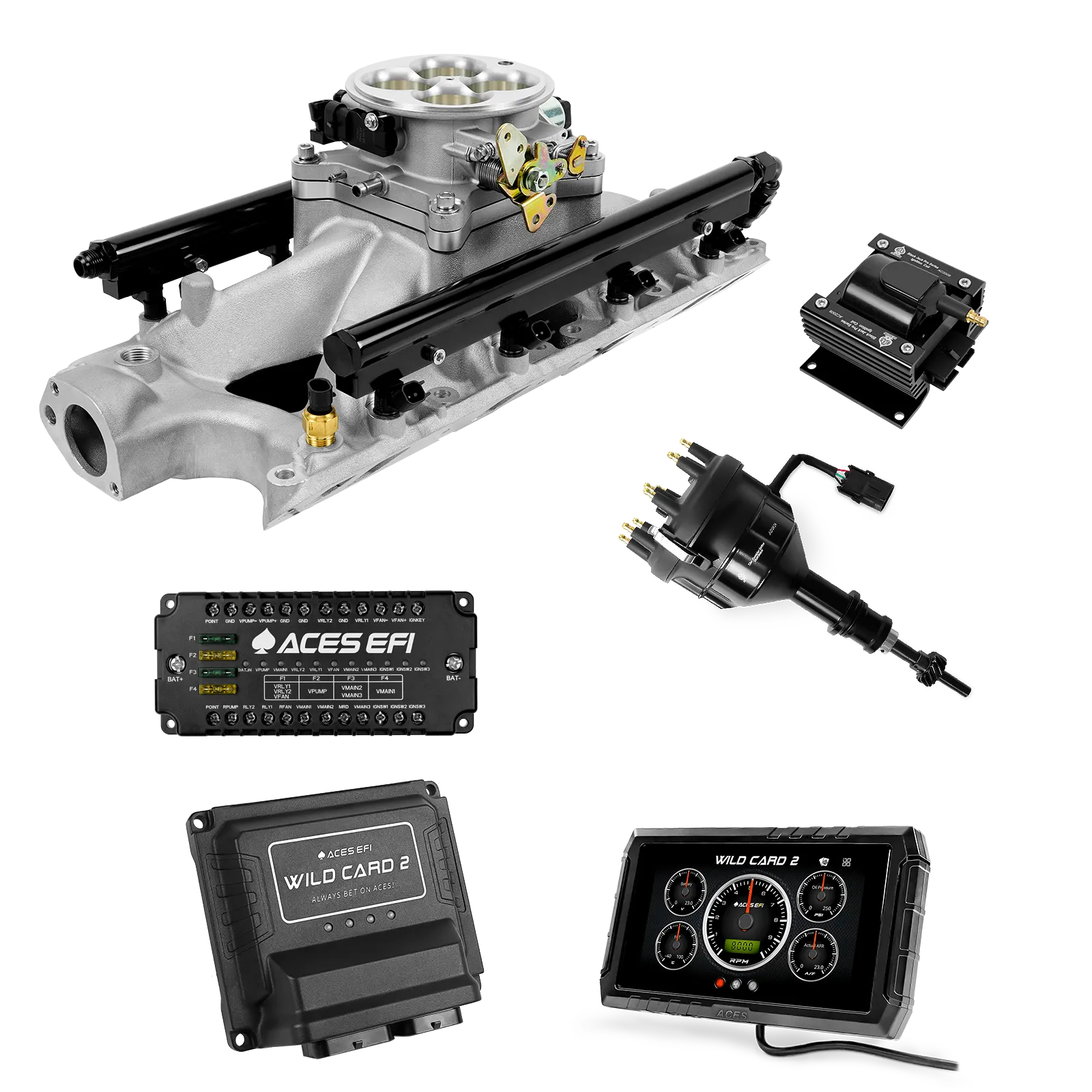 Wild Card 2 EFI - Top End Kits