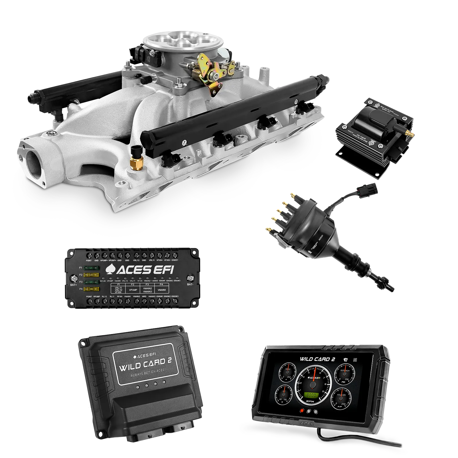 Wild Card 2 EFI - Top End Kits