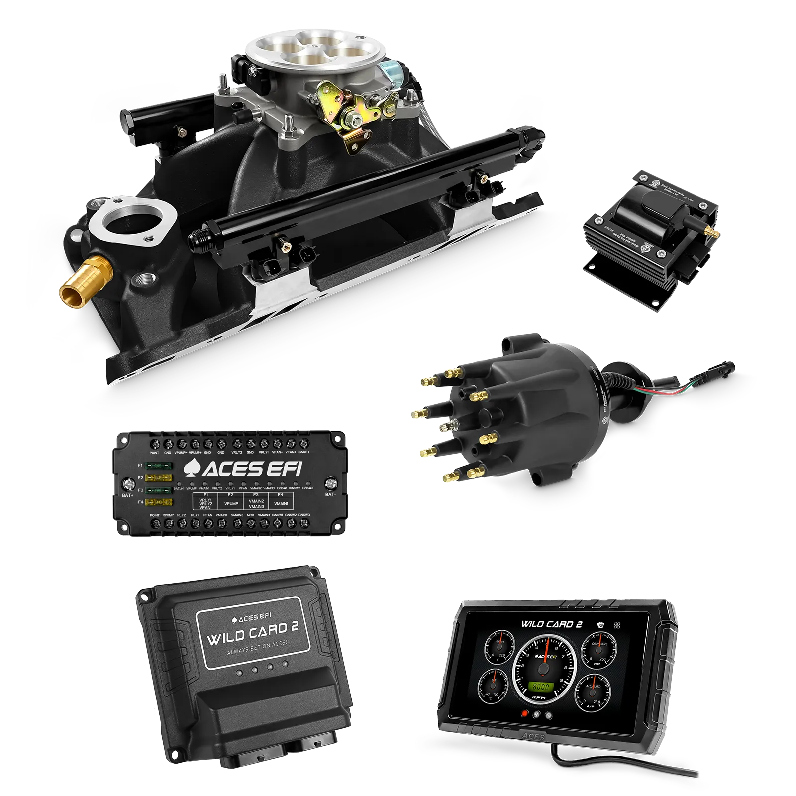 Wild Card 2 EFI - Top End Kits