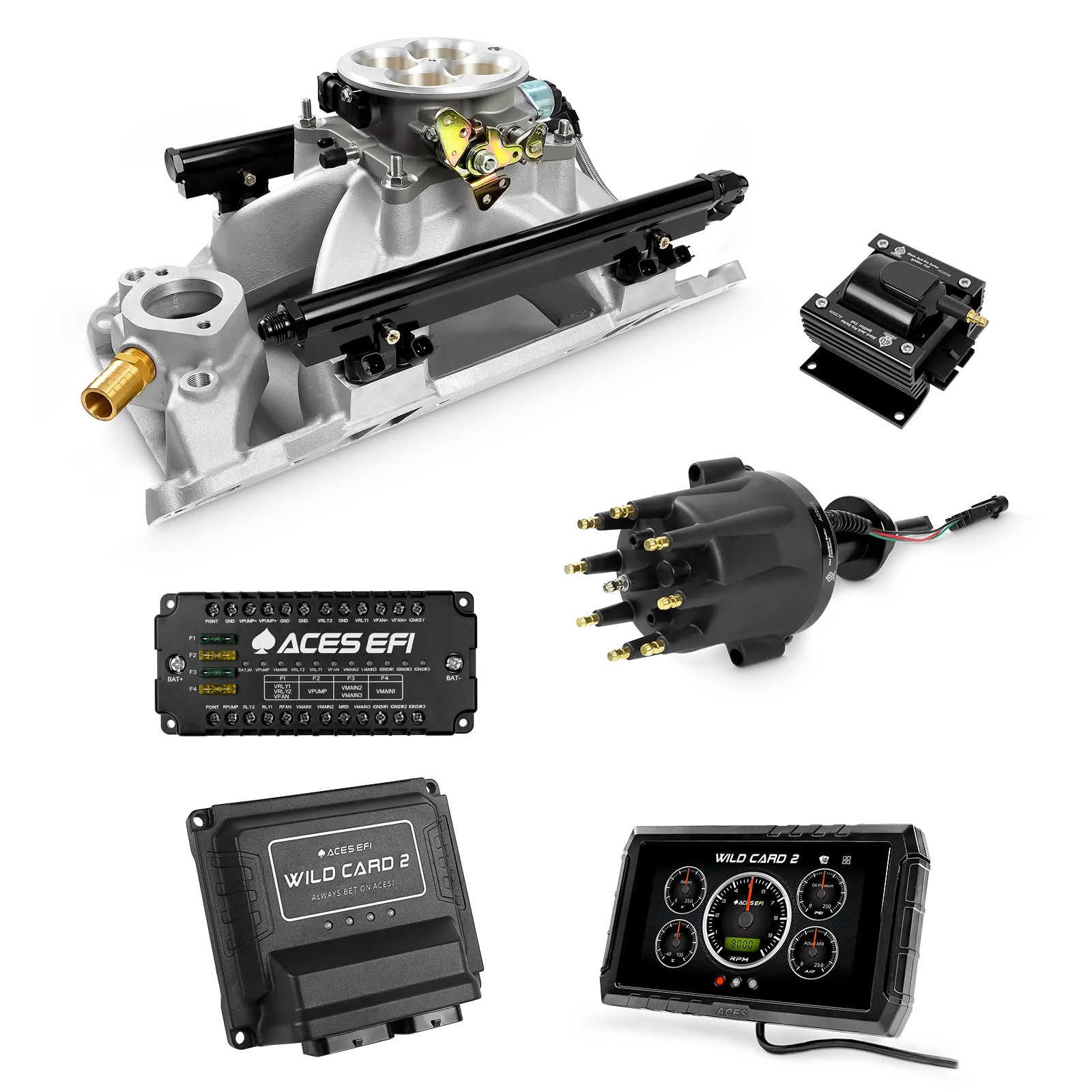 Wild Card 2 EFI - Top End Kits