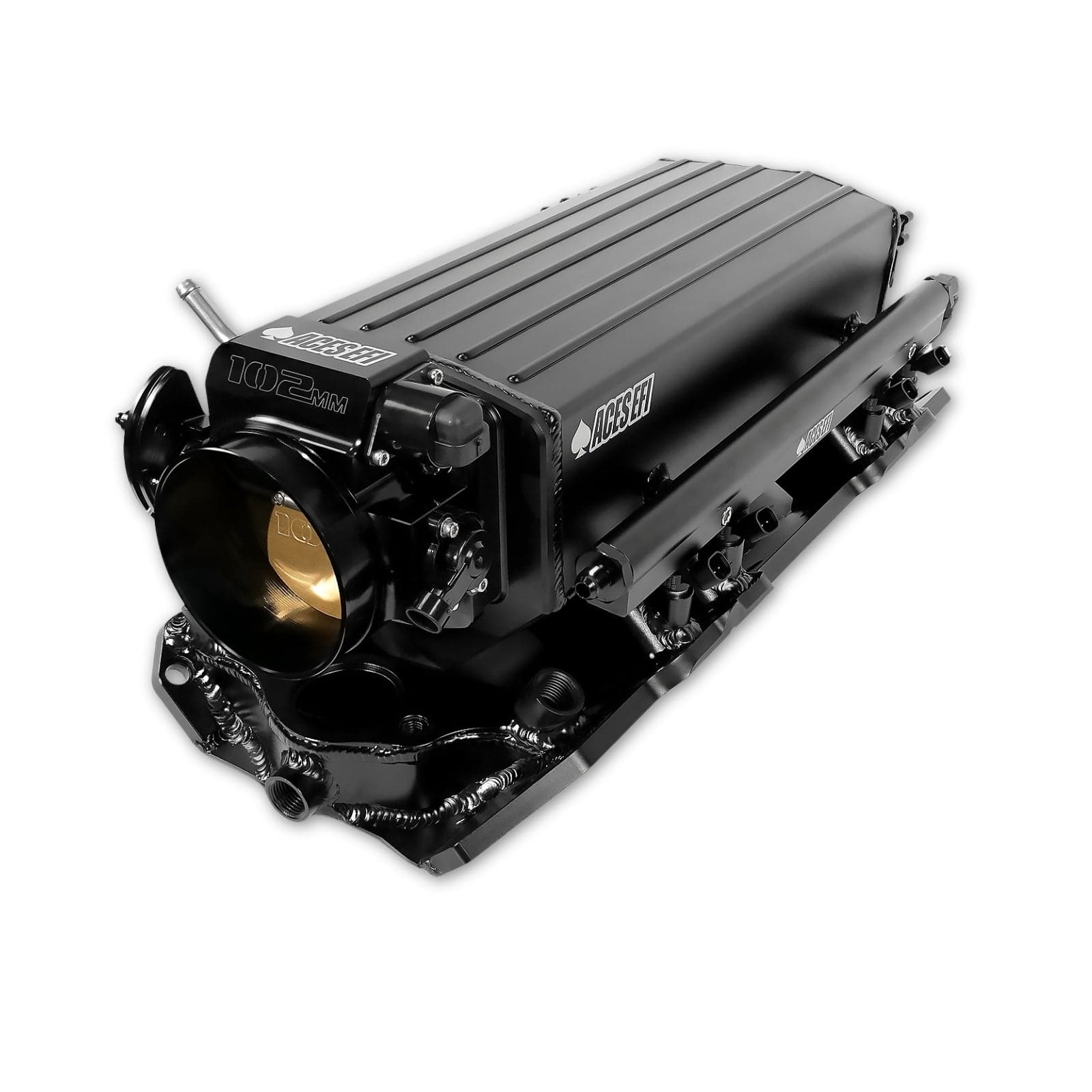 Wild Card 2 EFI - Top End Kits